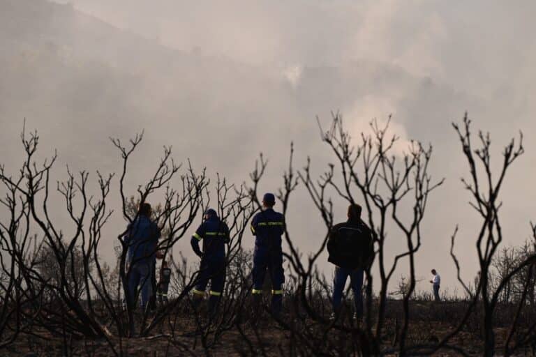 Κεφαλογιάννης: «Στη μάχη από το καλοκαίρι 80 drones με θερμικές κάμερες για τον γρήγορο εντοπισμό πυρκαγιάς»