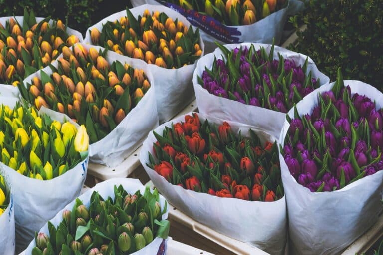 Εορτολόγιο 2025: Σπουδαία γιορτή και σήμερα, σε ποιους να πείτε χρόνια πολλά