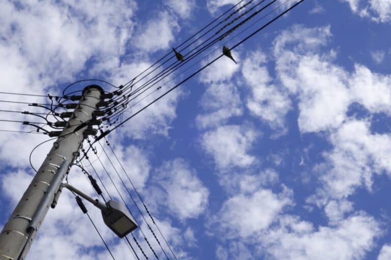 Καιρός σήμερα (8/1): Νεφώσεις και θερμοκρασία έως 21 βαθμούς – Πού θα σημειωθούν βροχές