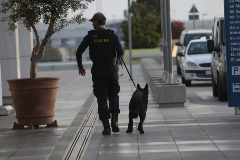 Συνελήφθη ανήλικος στην Κύπρο – Είχε στείλει απειλητικά email για εκρηκτικούς μηχανισμούς σε ελληνικά αεροδρόμια