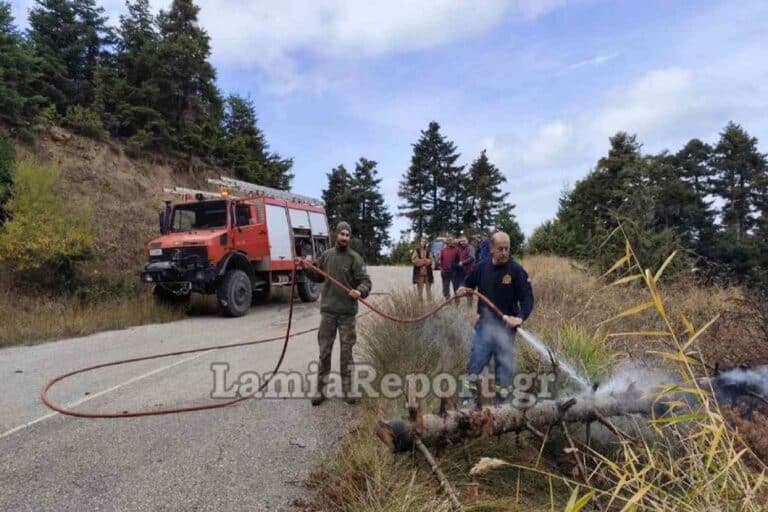 Φωτιά στην Φθιώτιδα: Έκοψαν δέντρο και έπεσε πάνω σε καλώδια