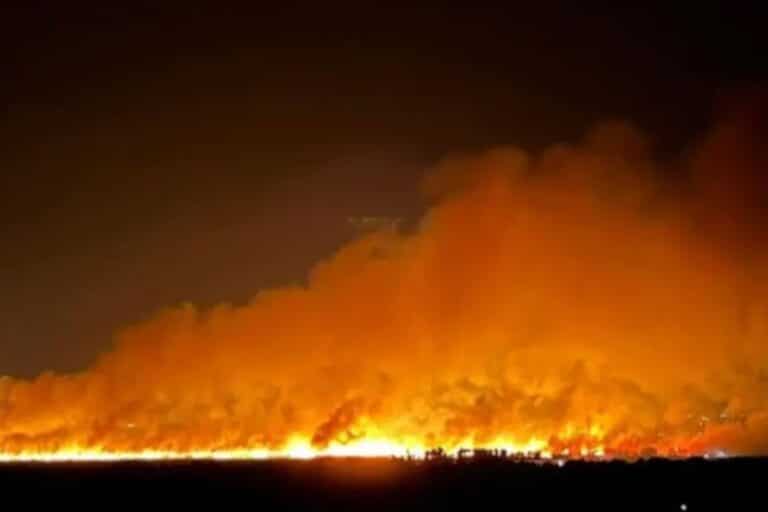 Μεγάλη φωτιά στην Αχαΐα, απειλείται το δάσος της Στροφυλιάς – Επιχειρούν 135 πυροσβέστες (βίντεο)