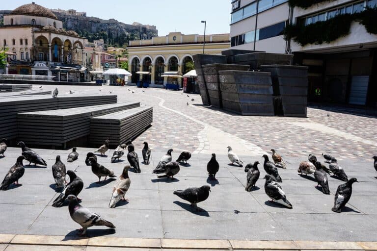 Ταΐζεις τα περιστέρια; – Σε αυτή τη πόλη κινδυνεύεις με πρόστιμο 500 ευρώ!