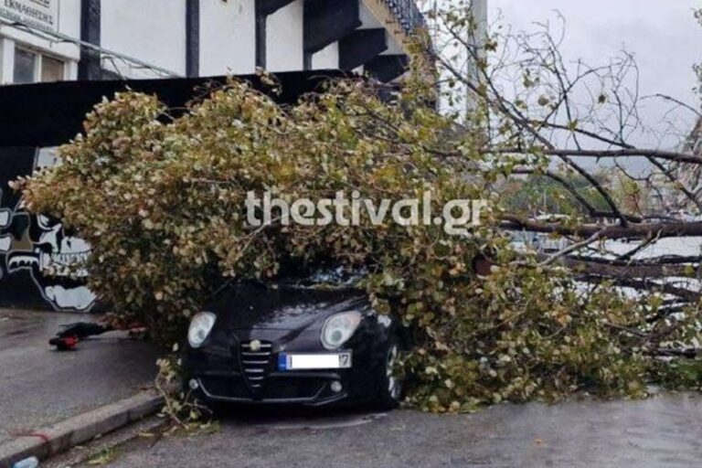 Κακοκαιρία «Bora»: Δέντρο έπεσε σε αυτοκίνητο στην Τούμπα λίγο πριν το ματς του ΠΑΟΚ! (βίντεο)