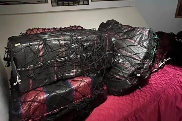 Αυστραλία: Κατασχέθηκε το μεγαλύτερο φορτίο κοκαΐνης όλων των εποχών – Συνελήφθησαν 13 άτομα!