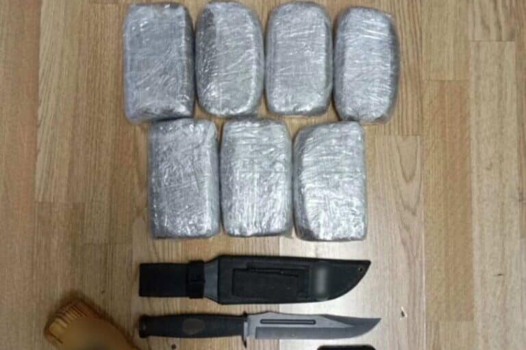 Λακωνία: Συνελήφθη 46χρονος για ναρκωτικά και όπλα