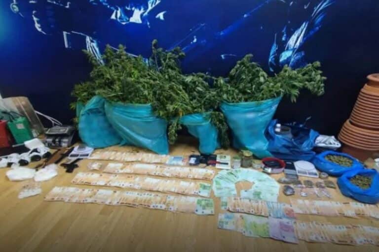 Αττική: Συνελήφθησαν δύο άτομα για καλλιέργεια και διακίνηση ναρκωτικών