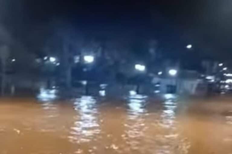 Κακοκαιρία «Bora»: Πάνω από 1.070 κλήσεις δέχθηκε η Πυροσβεστική – Μήνυμα του 112 σε Χαλκιδική, Λάρισα και Πιερία (βίντεο)