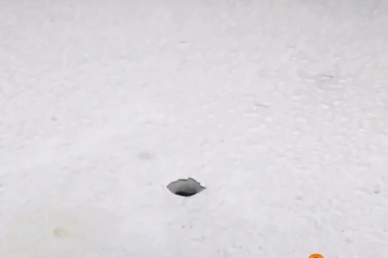 Άνω Λιόσια: Αδέσποτη σφαίρα βρέθηκε καρφωμένη σε οροφή ΙΧ – «Θα θρηνούσαμε πάλι θύματα σαν τον Μάριο» (βίντεο)