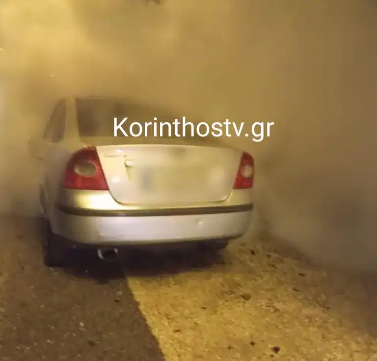 nemea.aytokinhto fotia 27 01 2025 3