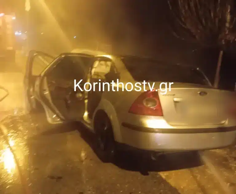 nemea.aytokinhto fotia 27 01 2025 4