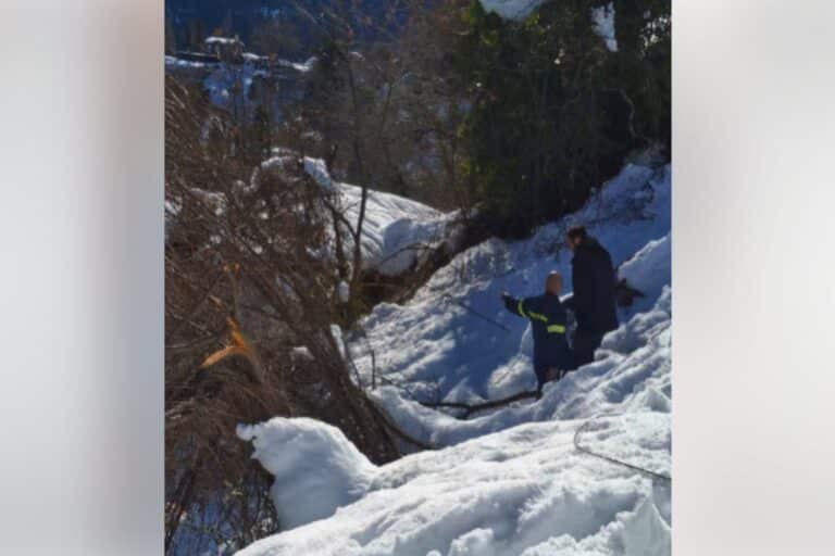 Φωκίδα: Πυροσβέστες μετέφεραν τρόφιμα σε ηλικιωμένο σε υψόμετρο 1.100 μέτρων (βίντεο)