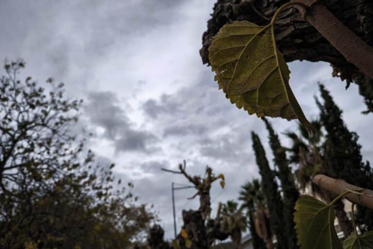 Καιρός σήμερα (10/1): Νεφώσεις με σποραδικές βροχές και θερμοκρασία έως 19 βαθμούς