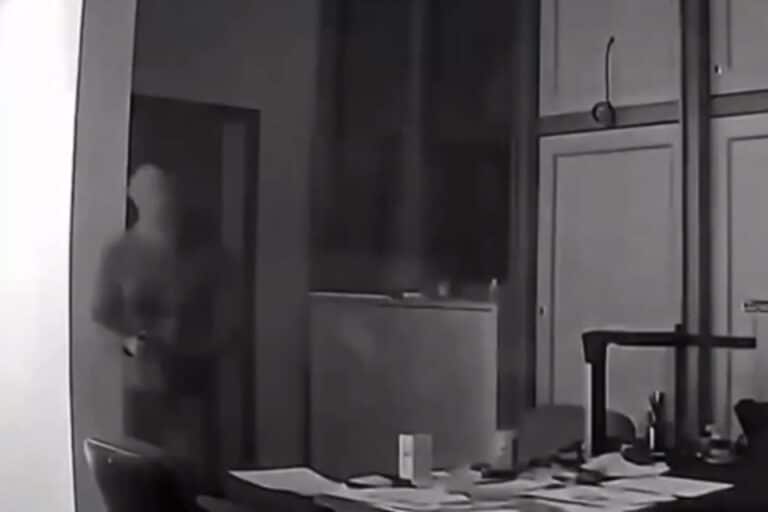 Θεσσαλονίκη: Συμμορία άδειαζε σπίτια και επιχειρήσεις – Τρεις συλλήψεις από την ΕΛ.ΑΣ. (βίντεο)