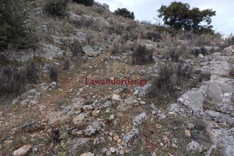 Λάρισα: Εντοπίστηκαν και κατασχέθηκαν 3 καταγραφικά από την πιθανή διαδρομή του Βασίλη Καλογήρου (βίντεο)