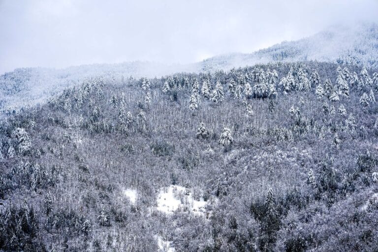 Καιρός: Πού θα χιονίσει τις επόμενες τρεις ημέρες