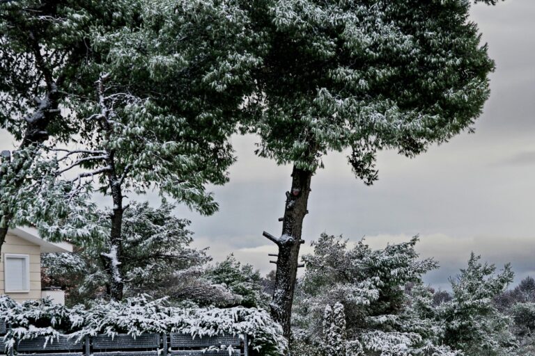 Κακοκαιρία «Coral»: Κλειστή η λεωφόρος Πάρνηθας από το ύψος του τελεφερίκ λόγω χιονιού