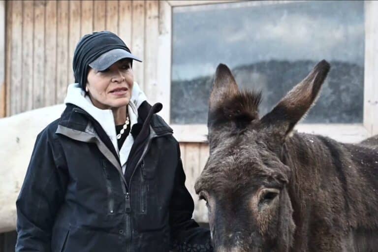 Σαντορίνη: «Δεν φεύγουμε, δεν θα αφήσουμε πίσω τα ζώα» – Πώς βιώνουν τους σεισμούς τα ζώα στα καταφύγια (βίντεο)