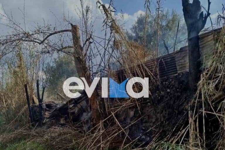 Φωτιά στην Εύβοια – Στο σημείο η πυροσβεστική (εικόνες)