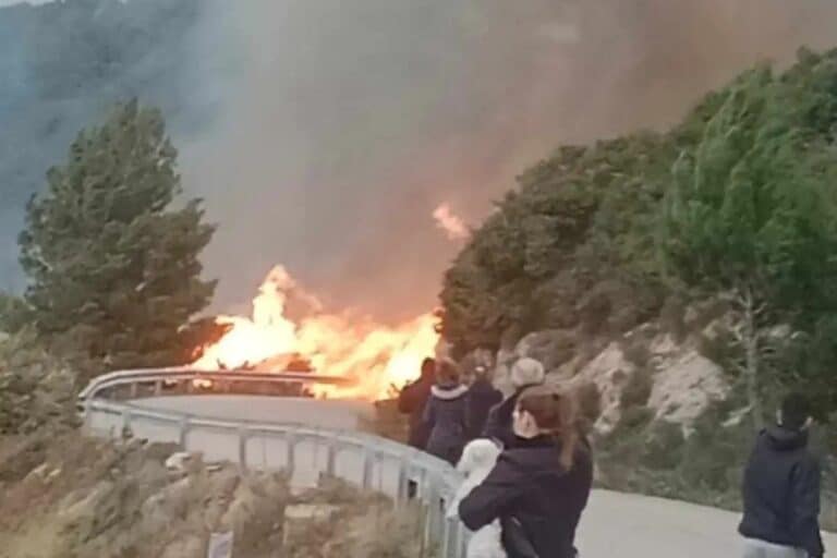 Λευκάδα: Συναγερμός για φωτιά σε δάσος στον Άγιο Νικήτα – Ήχησε το «112»