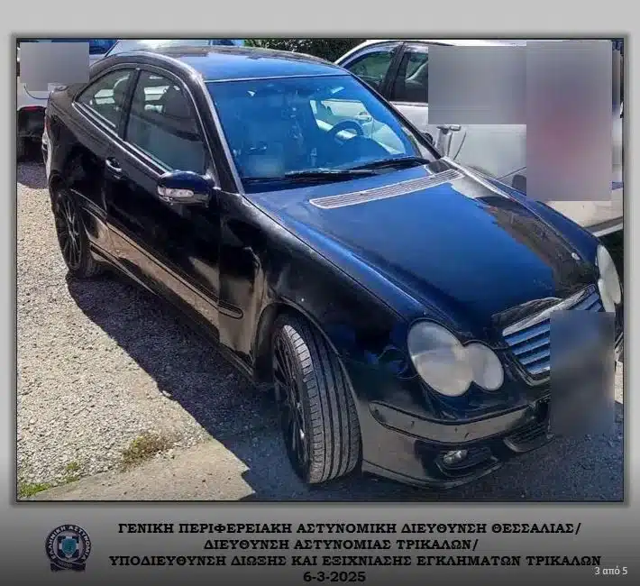 kosmimatopwleia4 elas 06 03 2025 2