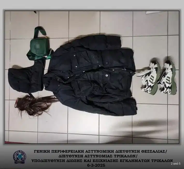 kosmimatopwleia4 elas 06 03 2025 3