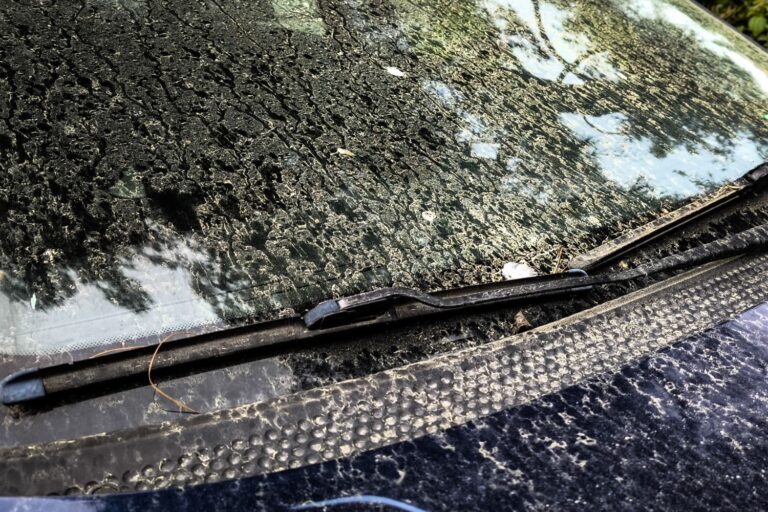 Καιρός: Σε ποιες περιοχές θα ρίξει λασποβροχές απόψε το βράδυ