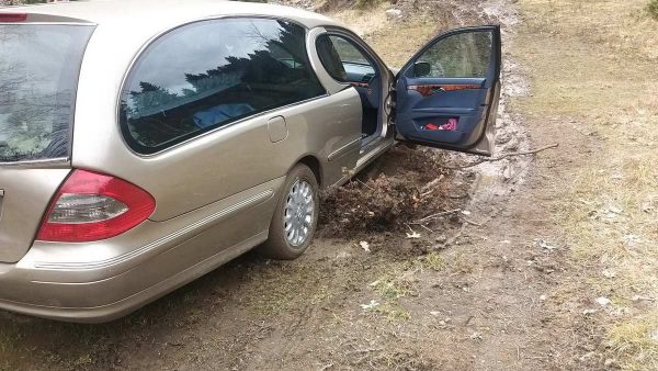 nekrophora2 600x338 1