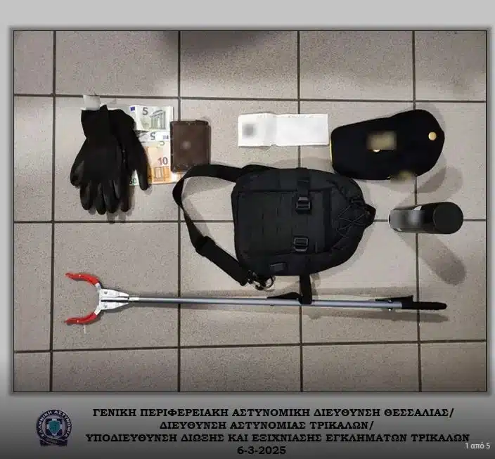 osmimatopwleia4 elas 06 03 2025 4