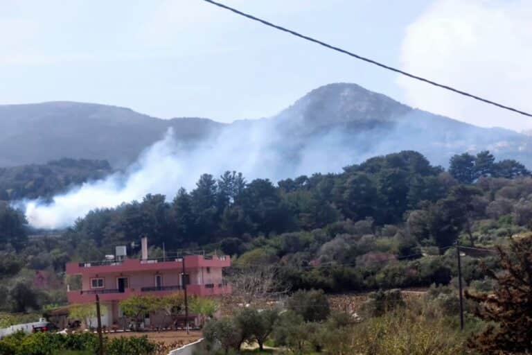 Φωτιά στη Σάμο – Ισχυρές πυροσβεστικές δυνάμεις στο σημείο (εικόνες)