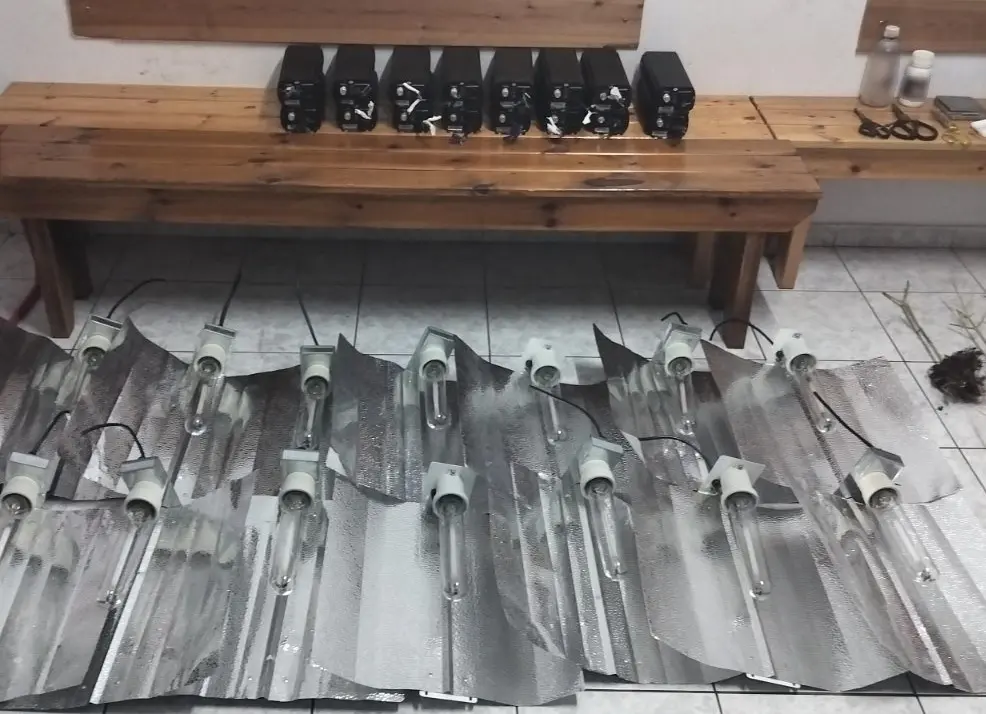 xalkidiki narkotika kannabis elas 05 03 2025 2