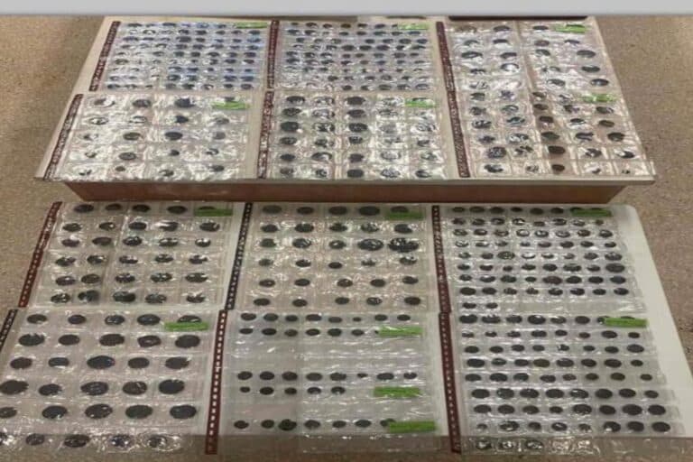 Φλώρινα: Συνελήφθη 67χρονη για αρχαιοκαπηλία – Κατασχέθηκαν 583 αρχαία νομίσματα