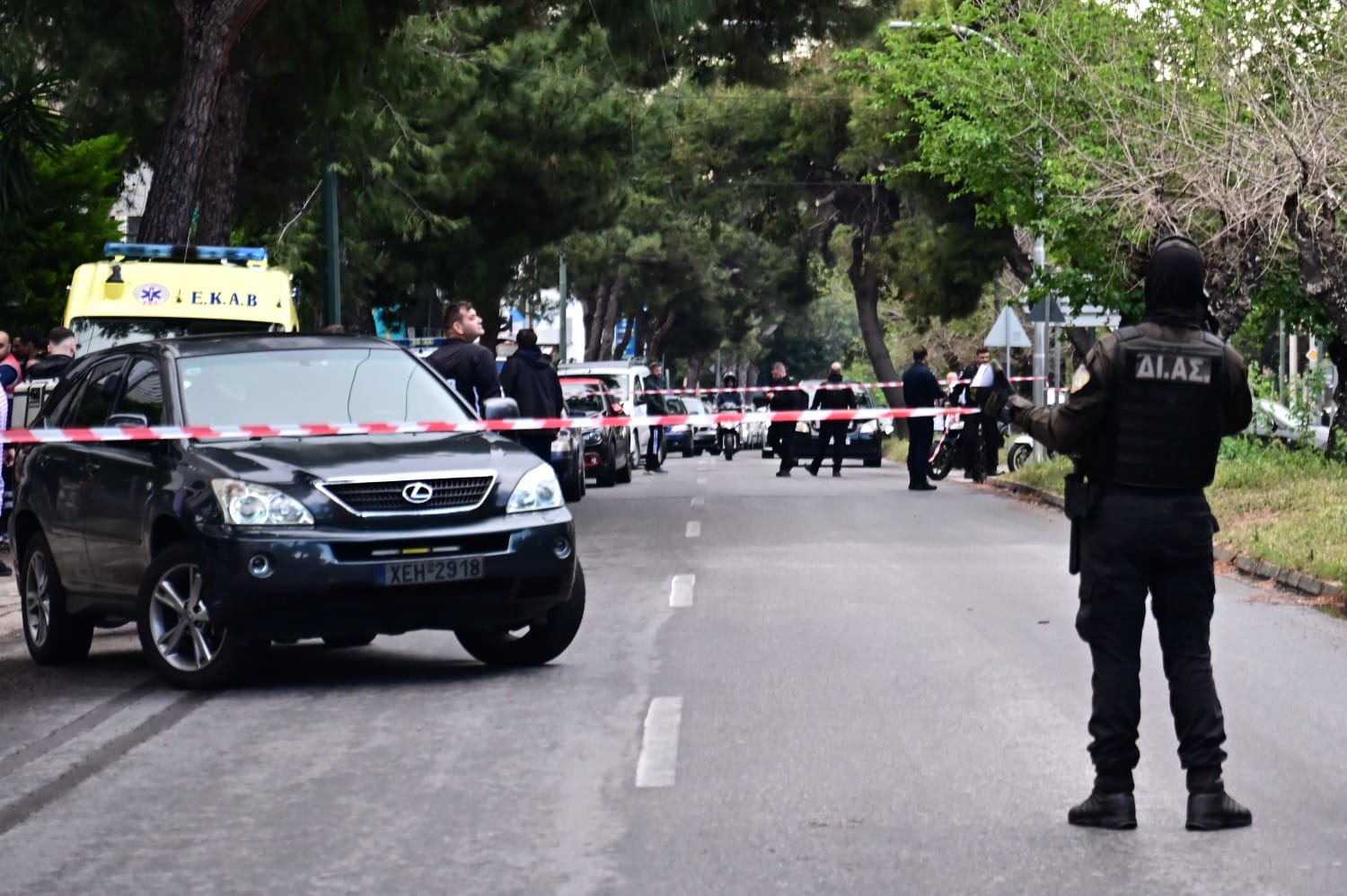 dolofonia xalandri mosxouris 27 4 2025