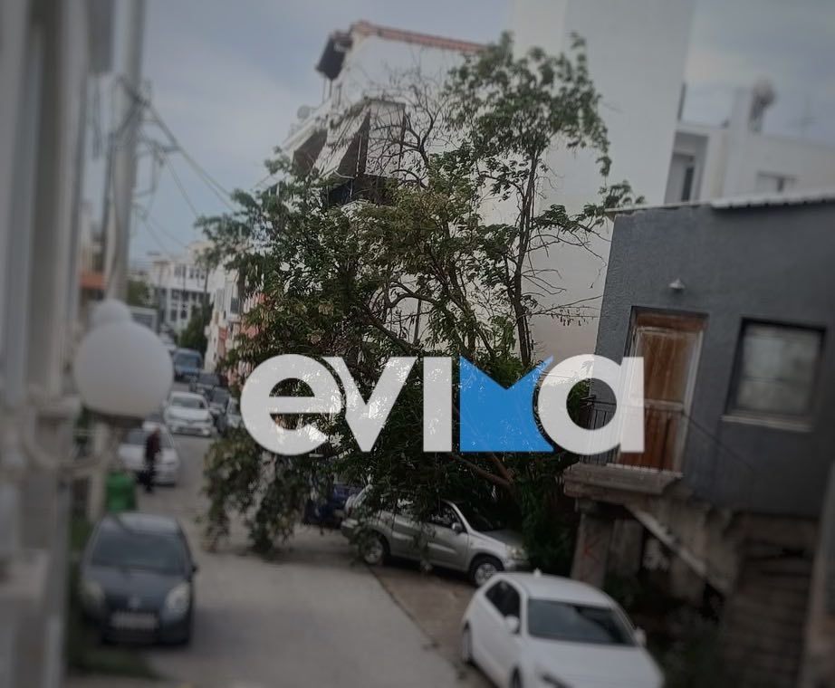 evima dendro autokinito 28 04 2025 3