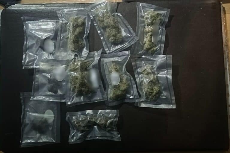 Ακρόπολη: Αστυνομικοί συνέλαβαν 29χρονο για διακίνηση κάνναβης 