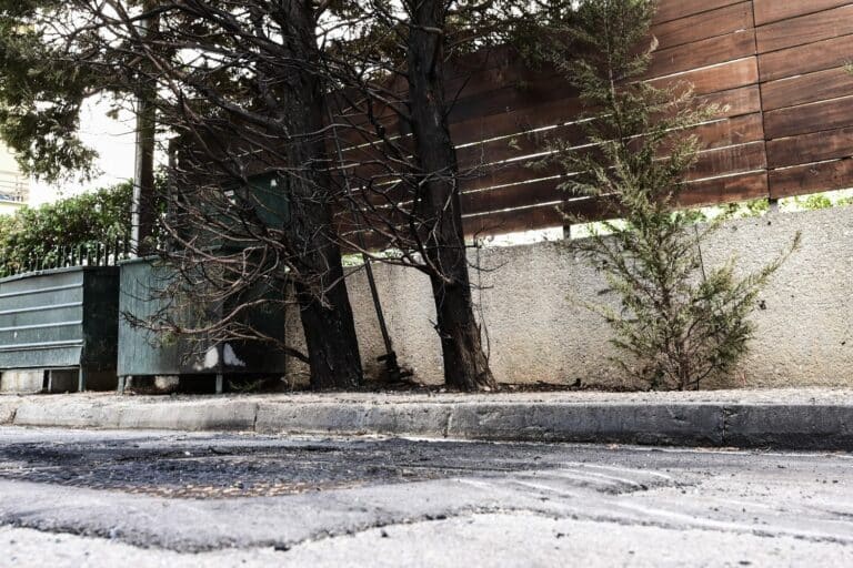 Η «Φράξια Προβοκατόρων» ανέλαβε την ευθύνη για τις μολότοφ στο σπίτι της προέδρου του Αρείου Πάγου – Είχε τραυματιστεί αστυνομικός