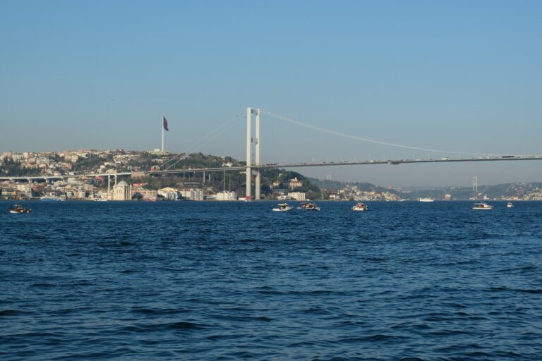 Σεισμός στην Κωνσταντινούπολη: «Το συγκεκριμένο ρήγμα μπορεί να δώσει δόνηση 7,8 Ρίχτερ», είπε ο Λέκκας (βίντεο)