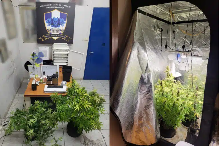 Παλαιό Φάληρο: Εντοπίστηκε πλήρως εξοπλισμένο εργαστήριο καλλιέργειας κάνναβης μέσα σε σπίτι