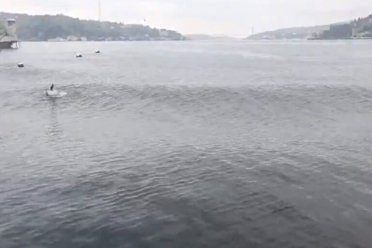 Σεισμός στην Κωνσταντινούπολη: Μικρό τσουνάμι στη θάλασσα του Μαρμαρά την ώρα των 6,2 Ρίχτερ (βίντεο)
