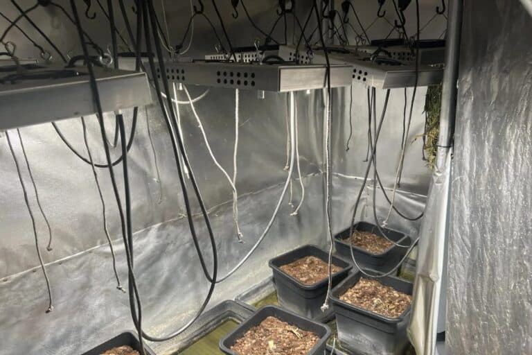 Ασπρόπυργος: Εντοπίστηκε πλήρως εξοπλισμένο εργαστήριο καλλιέργειας υδροπονικής κάνναβης