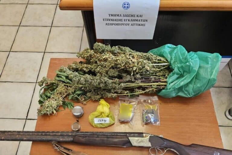 Ασπρόπυργος: Συνελήφθη 64χρονος – Καλλιεργούσε δενδρύλλια κάνναβης στο σπίτι του