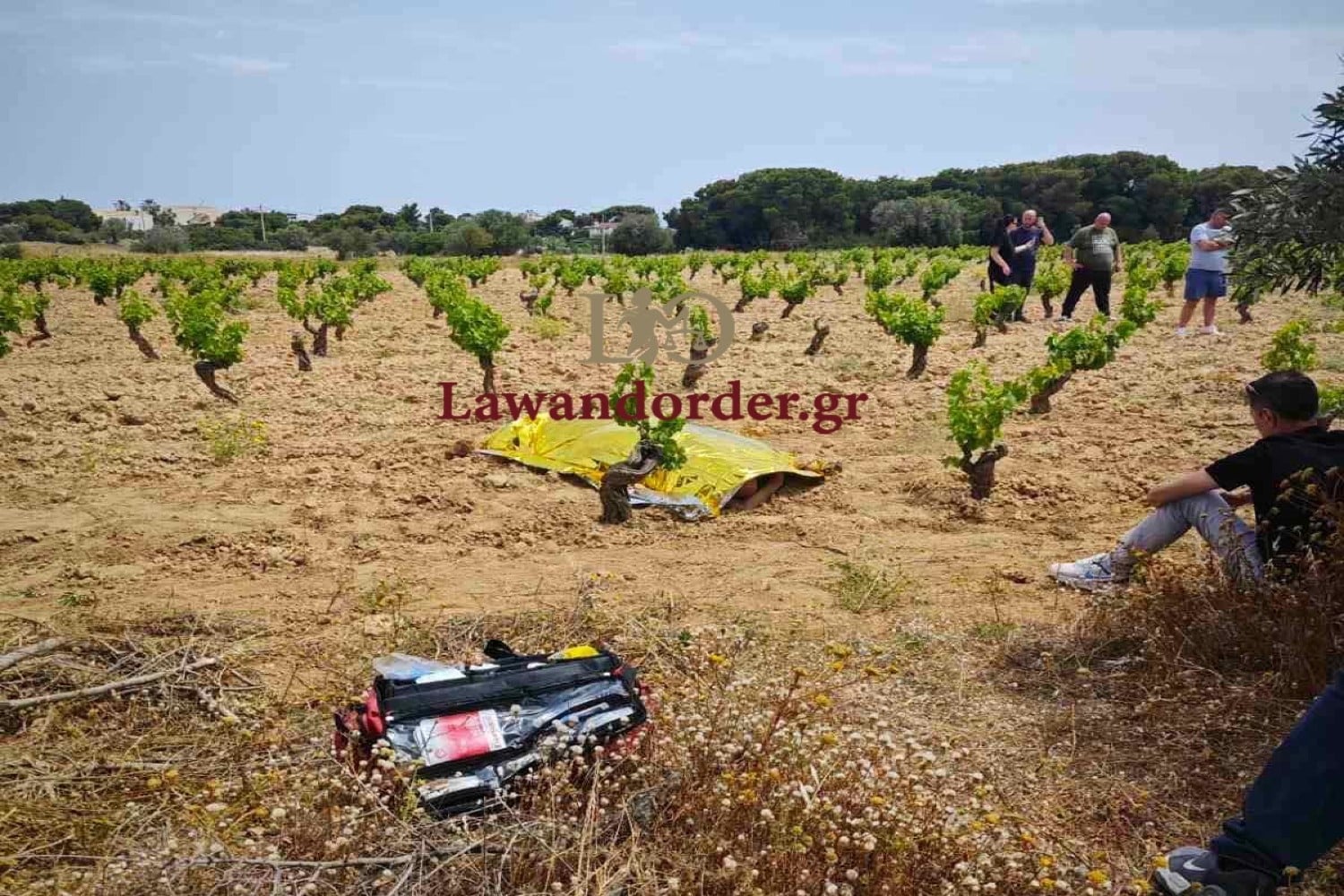 dolofonia rafina 22 5 2025