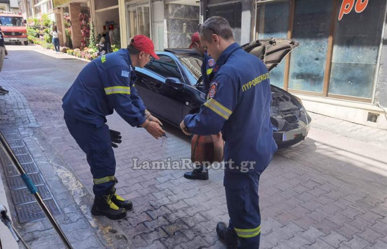 fidi lamiareport pyrosbestiki 20 05 2025 2