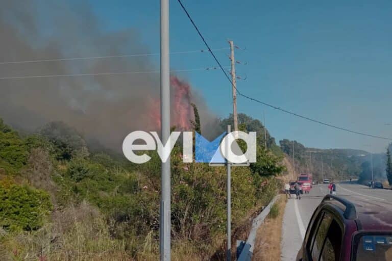 Φωτιά ξέσπασε στην Εύβοια κοντά σε οικισμό – Συναγερμός στην Πυροσβεστική