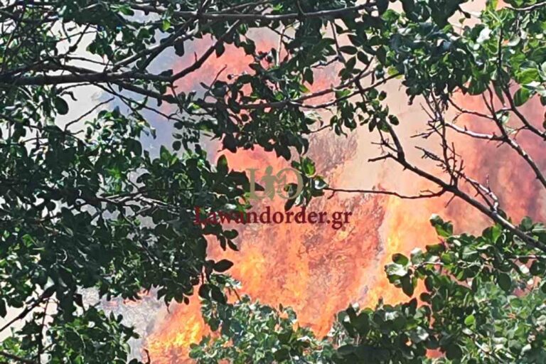 Συνελήφθη άνδρας για τη φωτιά στη Ριτσώνα – «Καμπάνα» 2.250 ευρώ (εικόνες & βίντεο)
