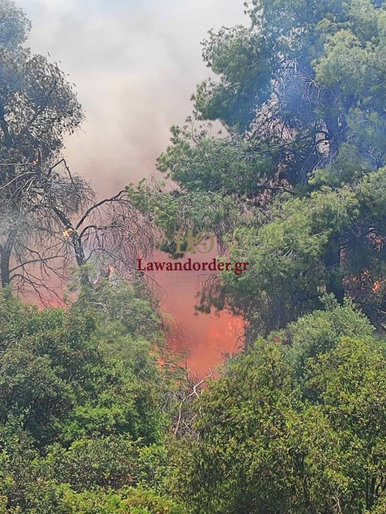 fotia ritsona 19 5 2025 4