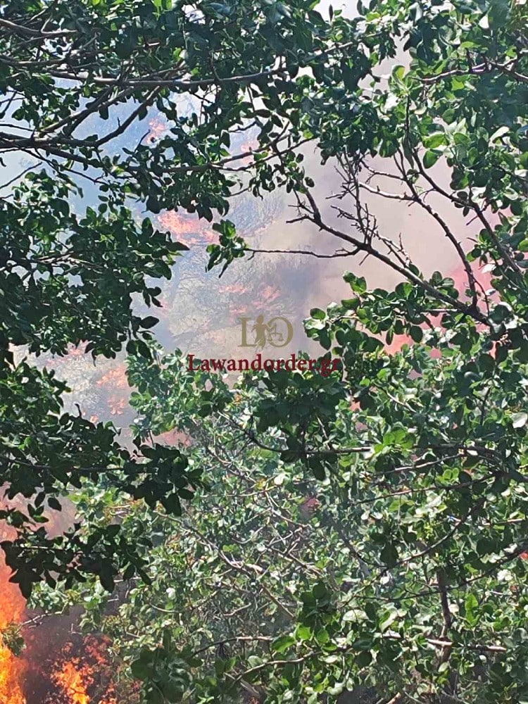 fotia ritsona 19 5 2025 5