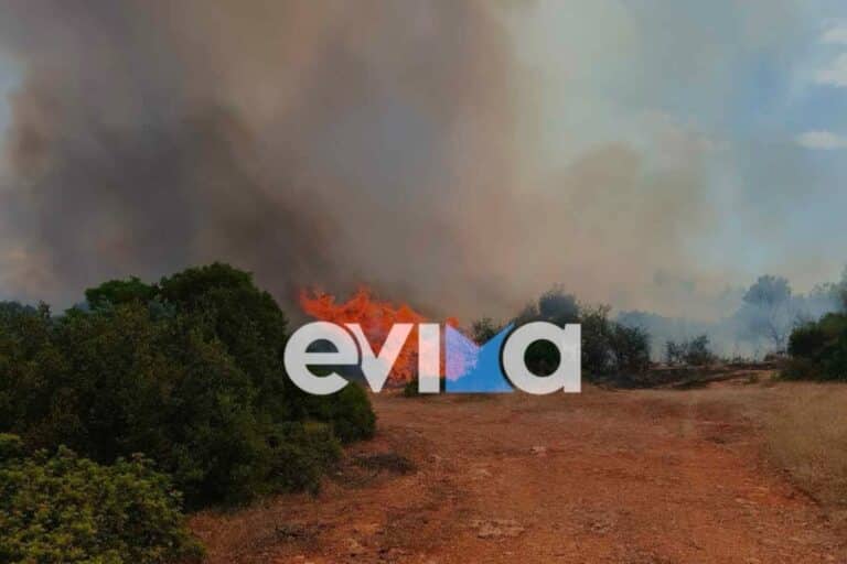 Μεγάλη μάχη με τη φωτιά στη Ριτσώνα – Ενισχύθηκαν οι δυνάμεις της Πυροσβεστικής