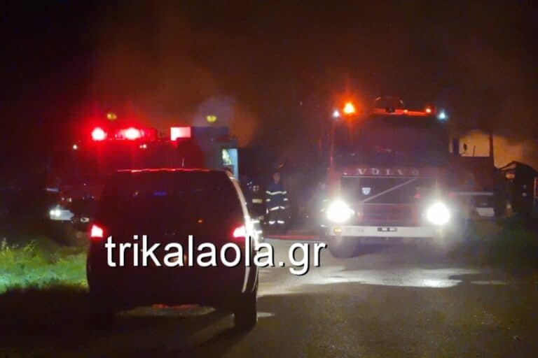 Τρίκαλα: Μεγάλη φωτιά σε εργοστάσιο – Καταστράφηκε ολοσχερώς η επιχείρηση (βίντεο)