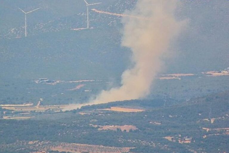 Φωτιά τώρα στη Ριτσώνα – Σηκώθηκαν αεροσκάφη και ελικόπτερα